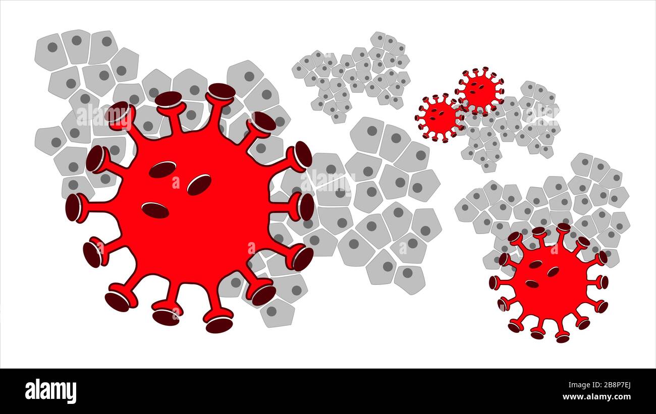 A simple graphic of a virus with a lot of cells Stock Vector