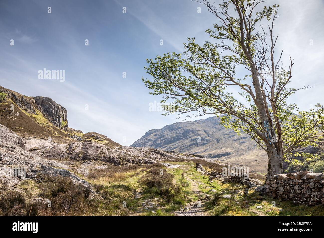 Rural scene near Glen Coe, Highlands, Scotland, UK - May 14th 2019 Stock Photo