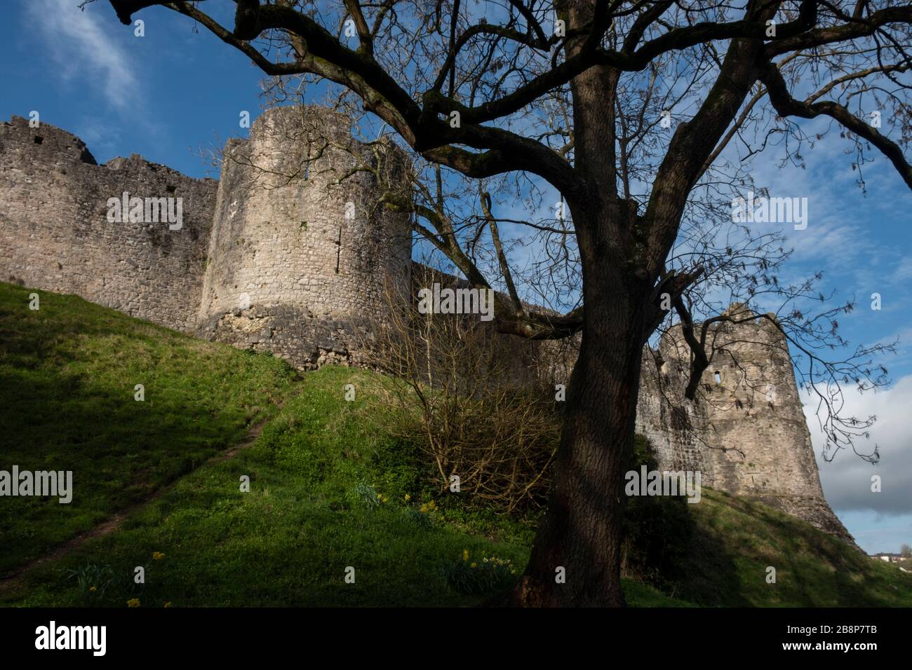 The ramparts of Chepstow Castle, Wales Stock Photo