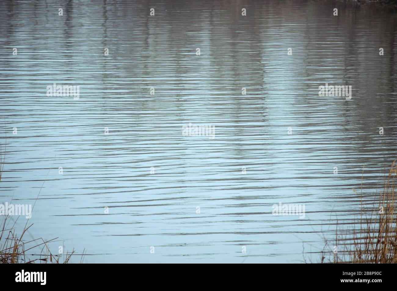 abstract water background. The texture of the water is a river or lake ...
