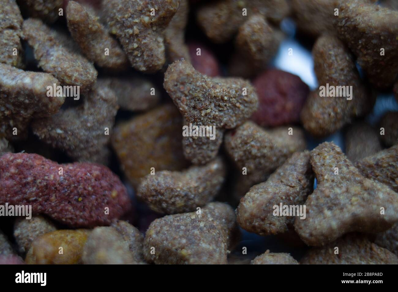 dog food background. Pet food macro. Cat or dog food closeup macro