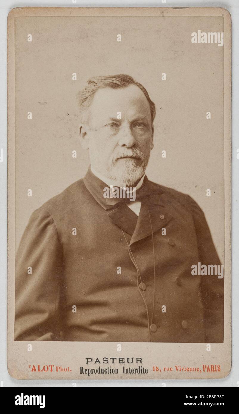 Portrait of Louis Pasteur (1822-1895), chemist. Isidore Alphonse Chalot. Portrait de Louis Pasteur (1822-1895), chimiste. Carte de visite (recto). Tirage sur papier albuminé. 1860-1890. Paris, musée Carnavalet. Stock Photo