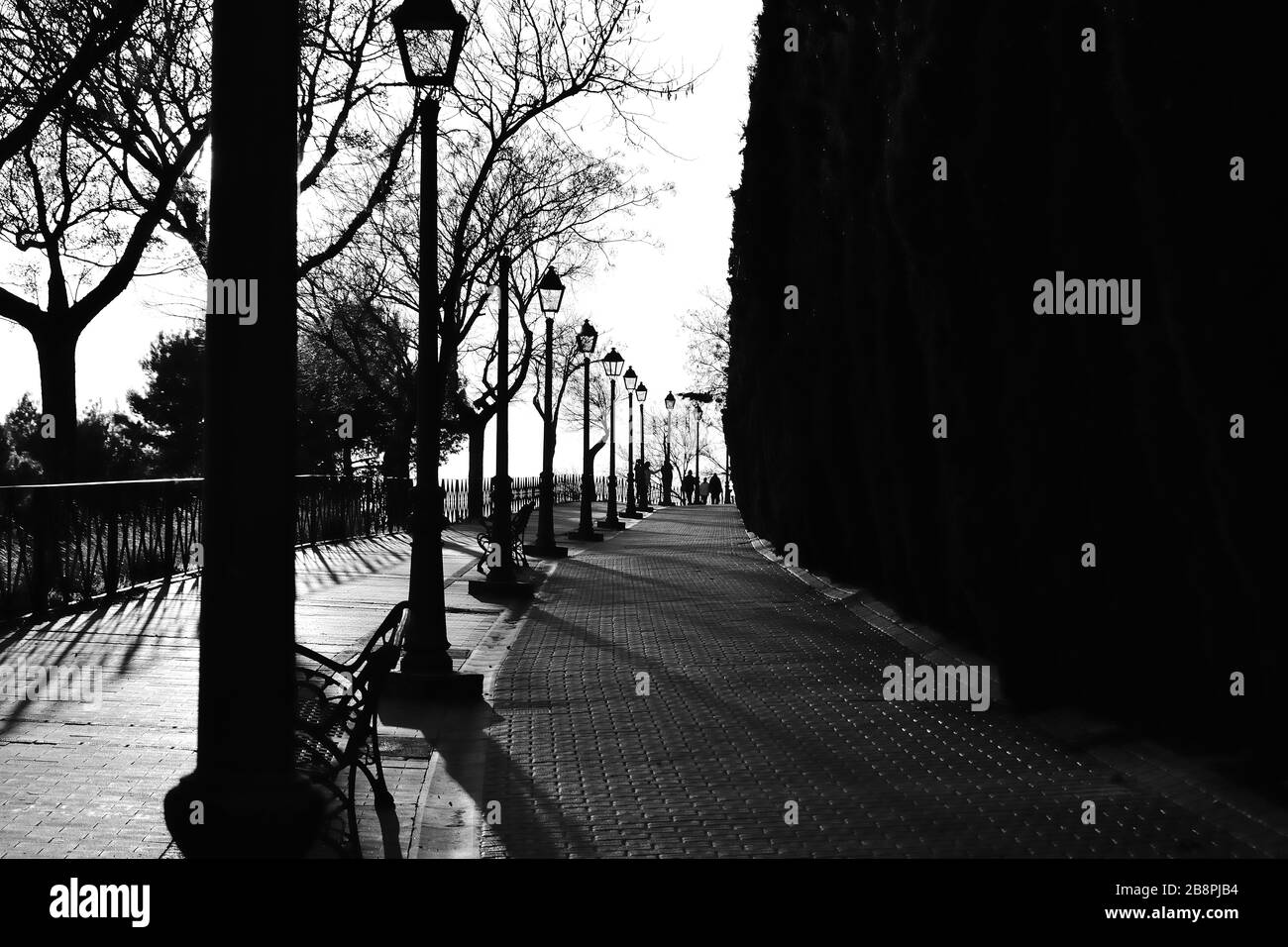 Walk in the park in black and white among trees and lampposts at sunset Stock Photo