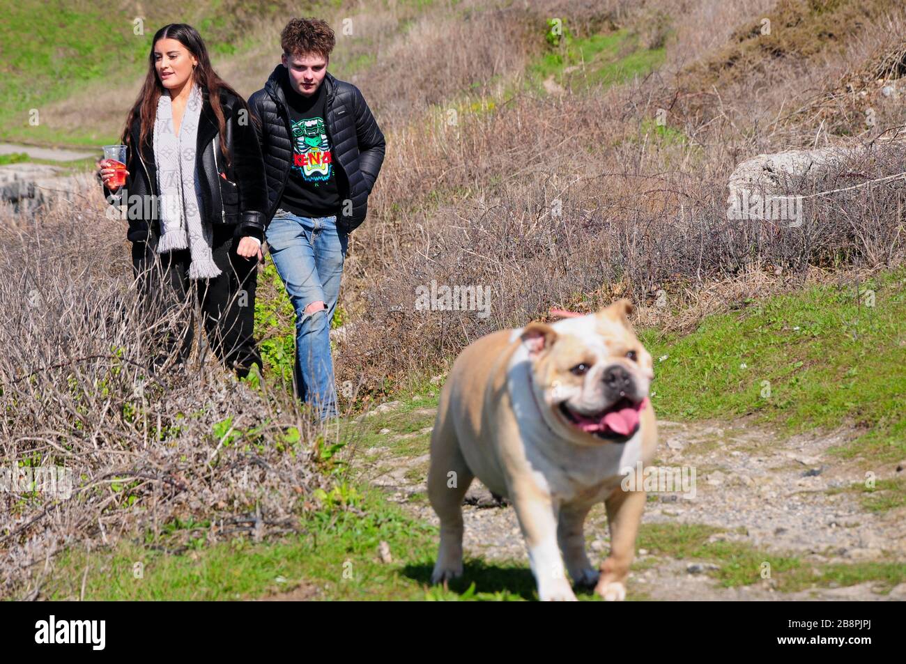 The bulldog spirit hot sale jacket