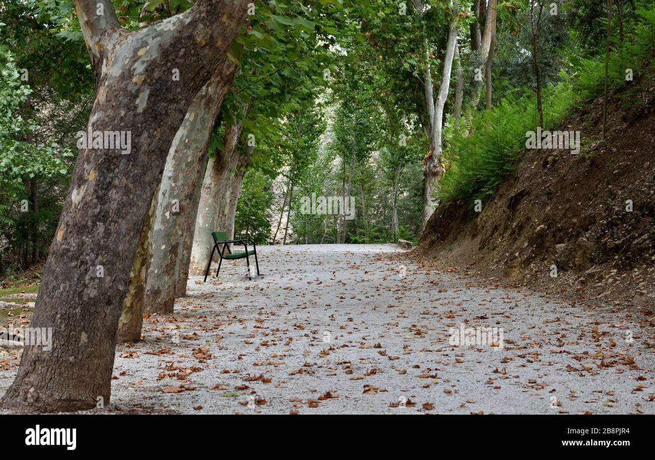 Romantic autumn path at the spa Stock Photo