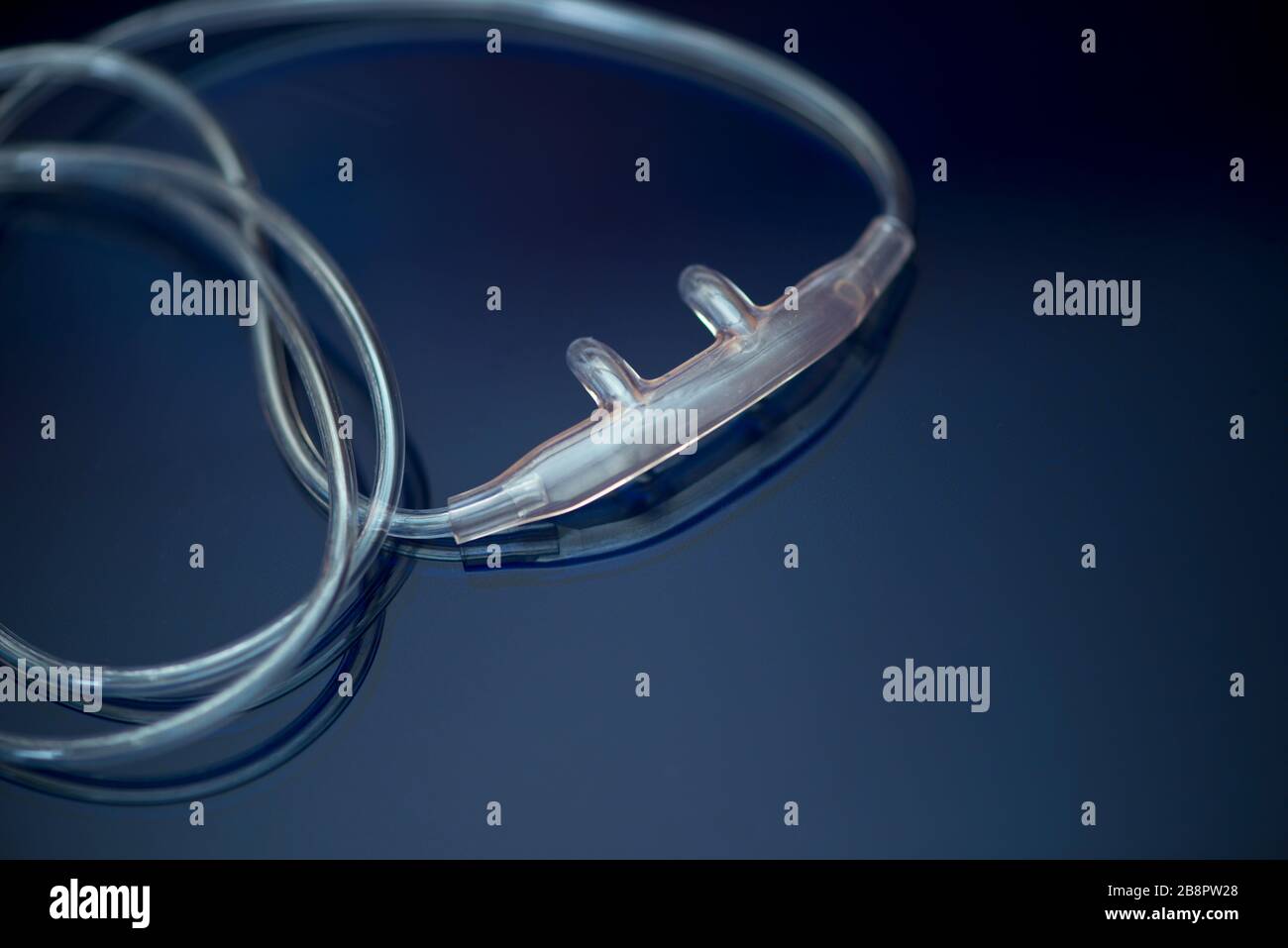 Nasal Cannula and oxygen tubing on blue reflective background. Stock Photo