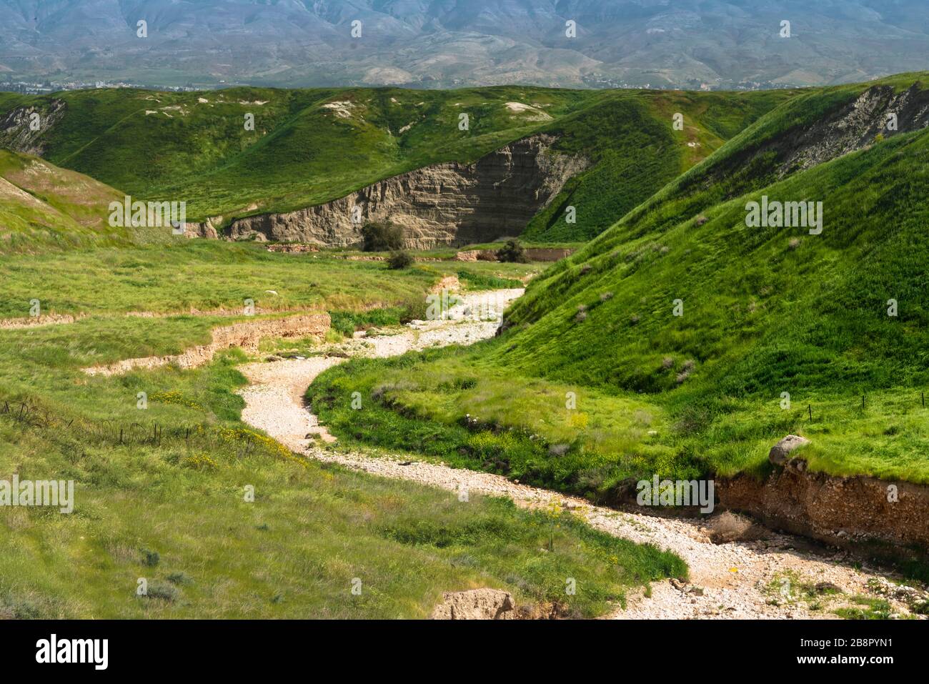 Green hills of the Jordan Valley in spring, Israel, Middle East. Stock Photo