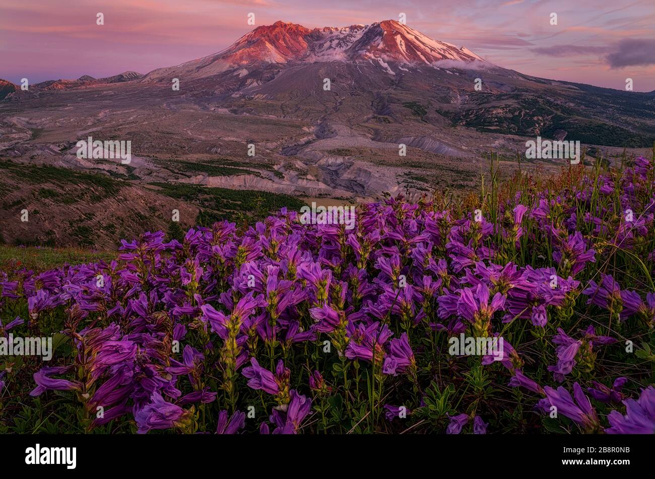 Mt st helens eruption hi-res stock photography and images - Alamy