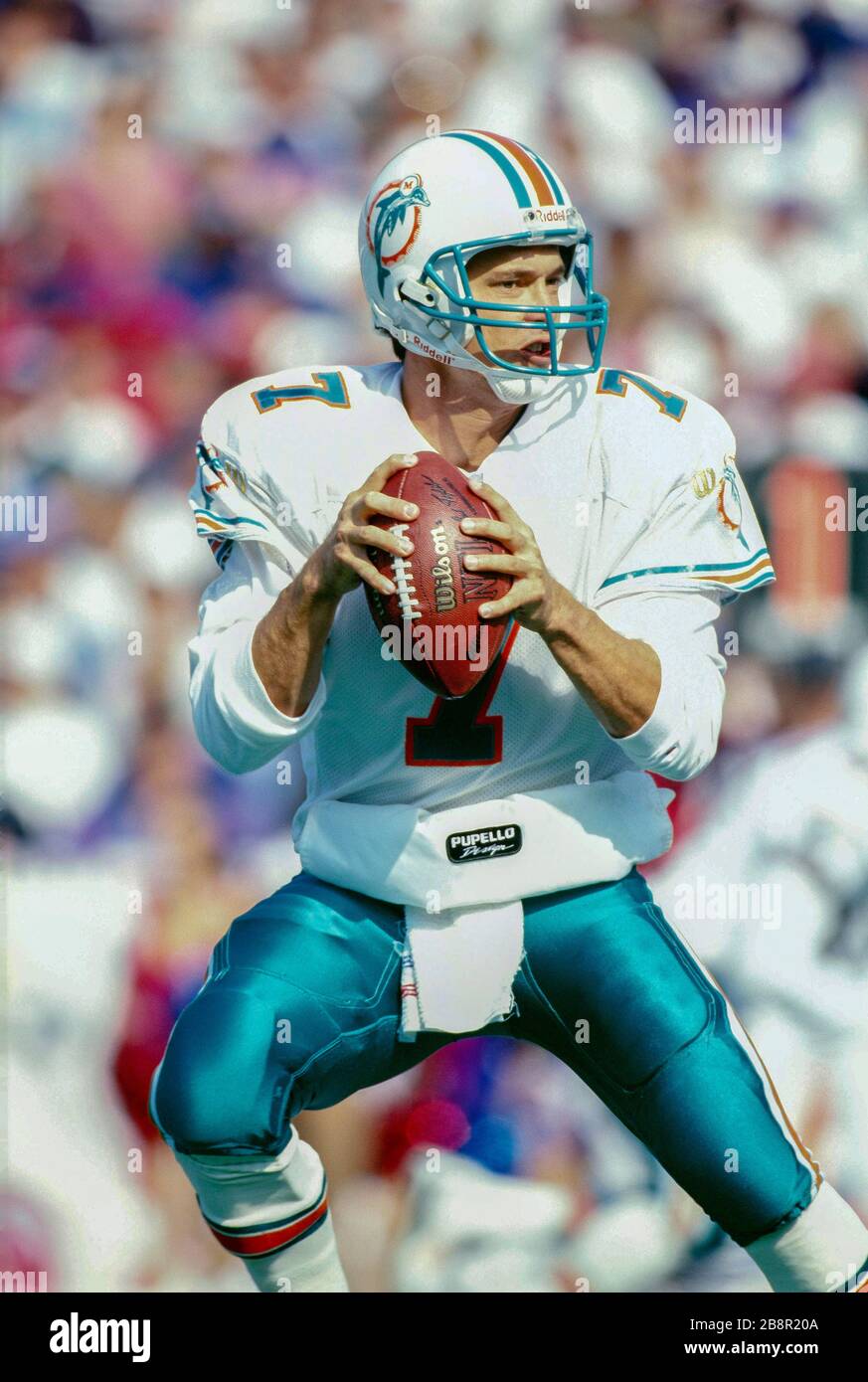 Craig Erickson of the Miami Dolphins Stock Photo