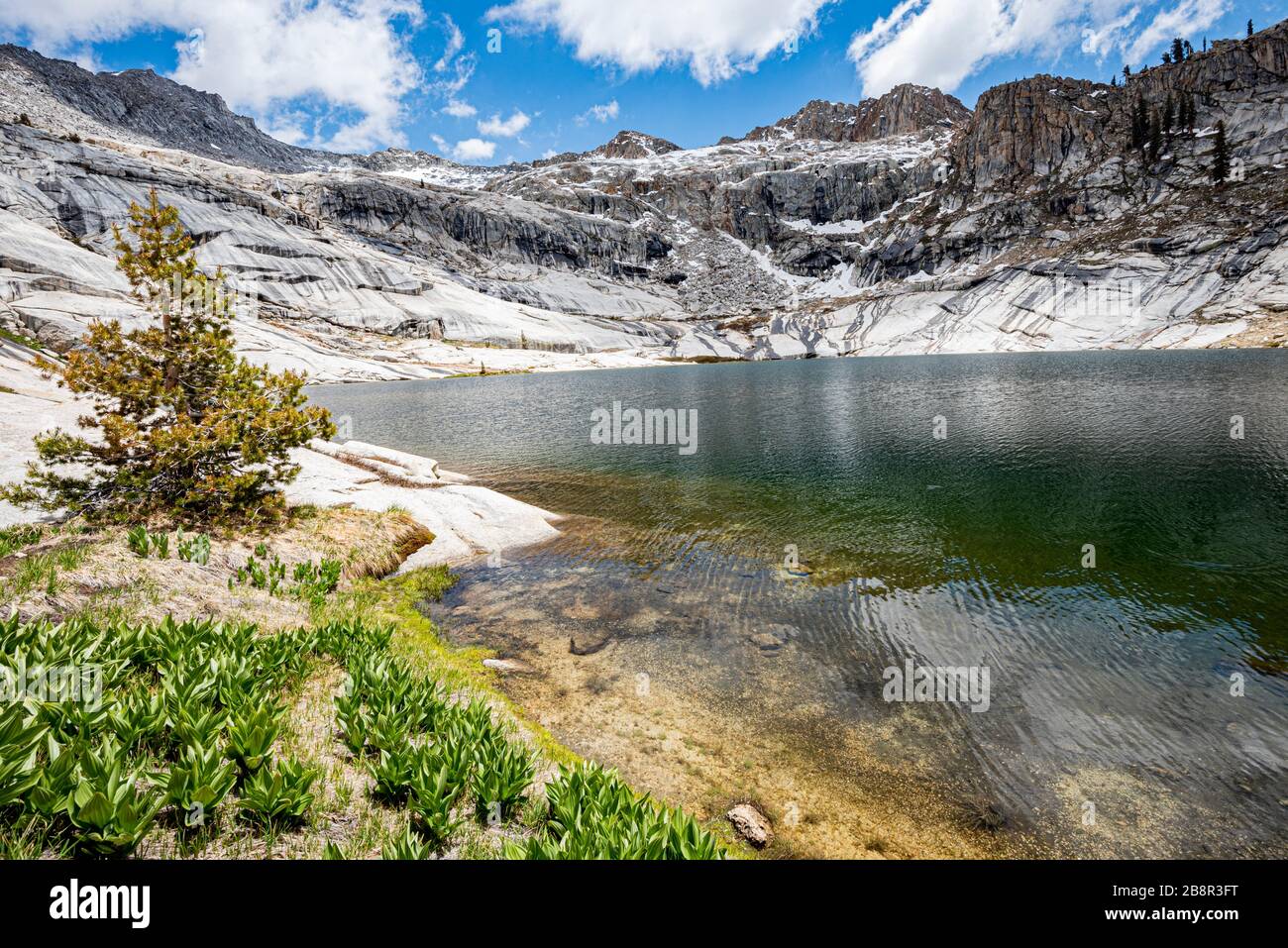 Pear Lake rests at the base of Alta Peak and marks the end of the 6.6 mile Lakes Trail in Sequoia National Park. Stock Photo