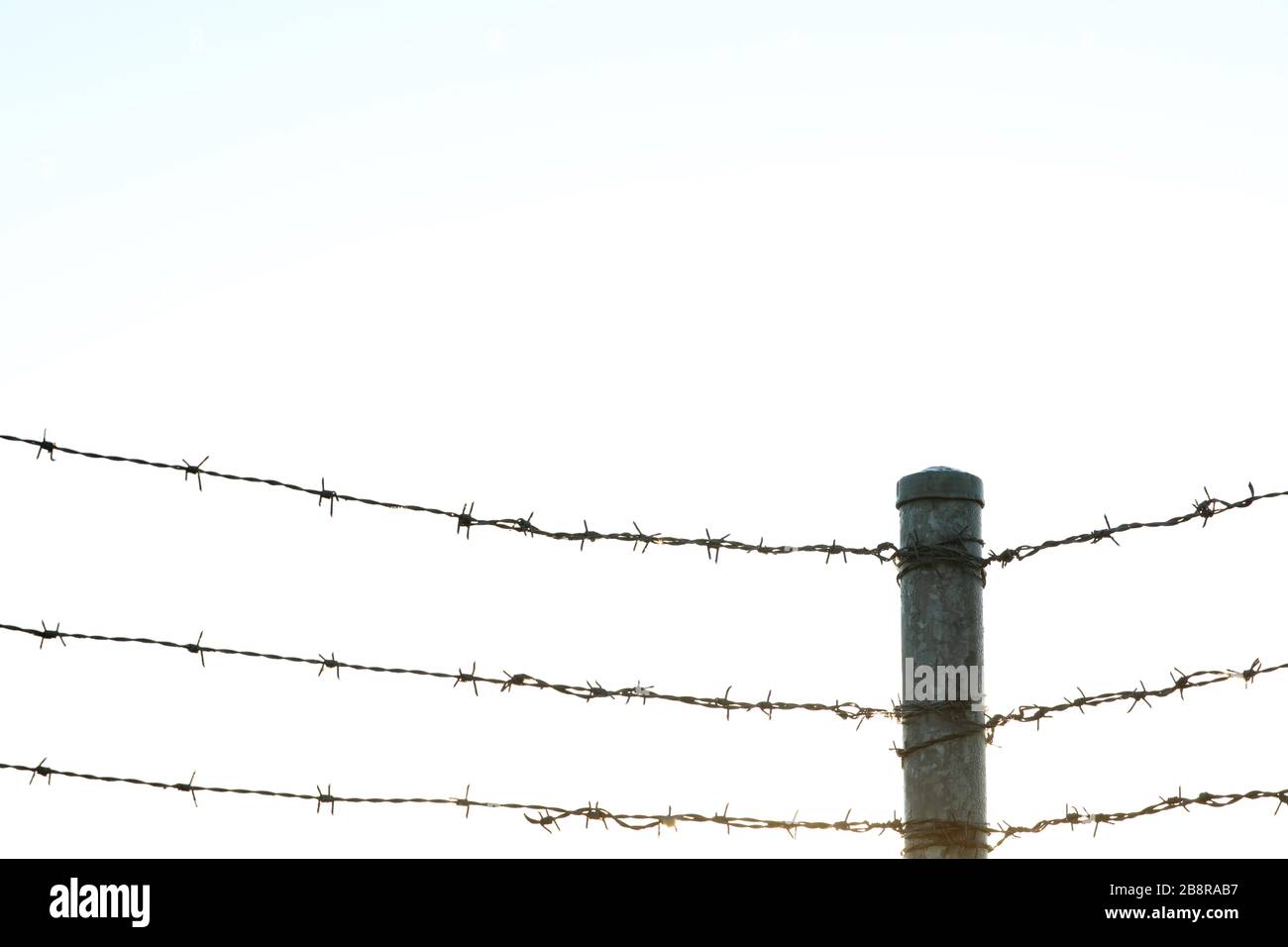 three lines of sharp barbed barb wire security fencing converging on a post. large void for text or cropping. Stock Photo