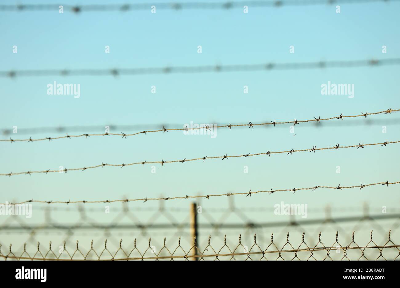 many layers and directions of barbed barb wire fencing and chicken wire. Isolated against a clear blue sunrise sunset sky background. Stock Photo