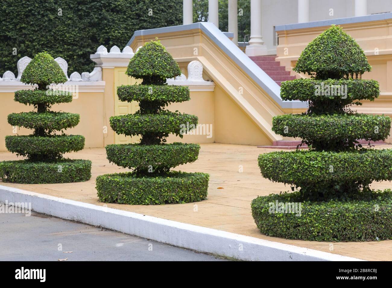 Landscaped Green Tree Shrub Plants in Royal Palace Garden, Phnom Penh, Cambodia Stock Photo