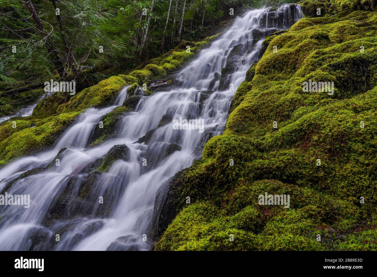 Proxy Falls Stock Photo