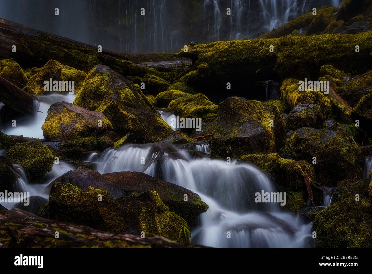 Proxy Falls Stock Photo