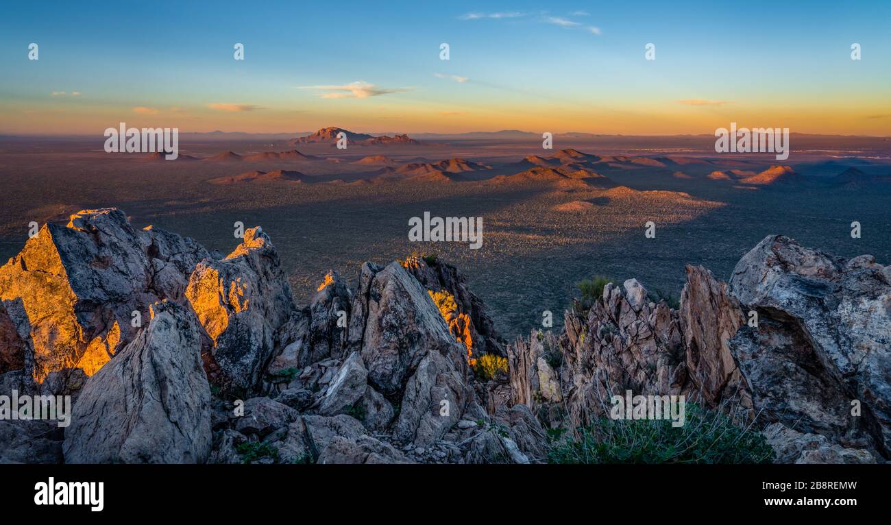 Saguaro Cactus in Arizona Desert Stock Photo - Alamy