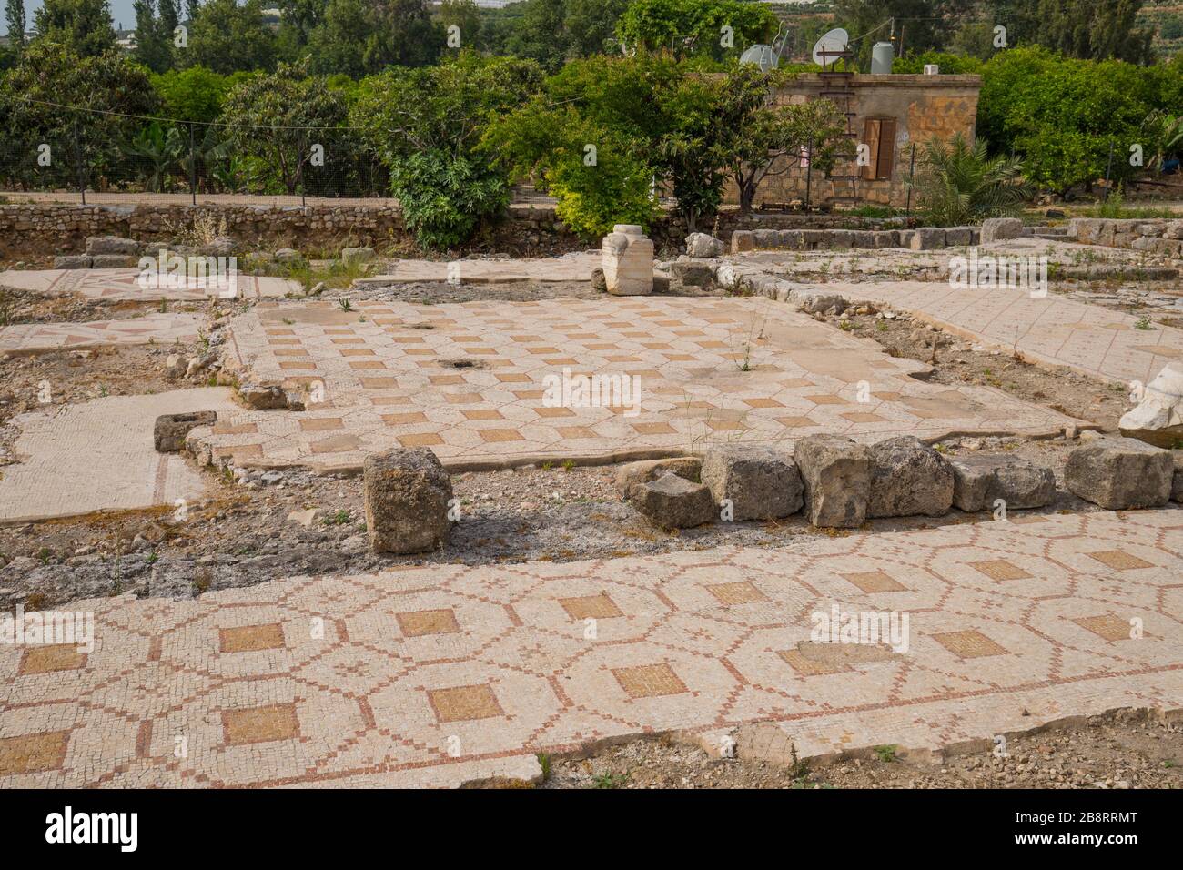 Roman Mosaics Temple Of Eshmun An Ancient Place Of Worship Dedicated