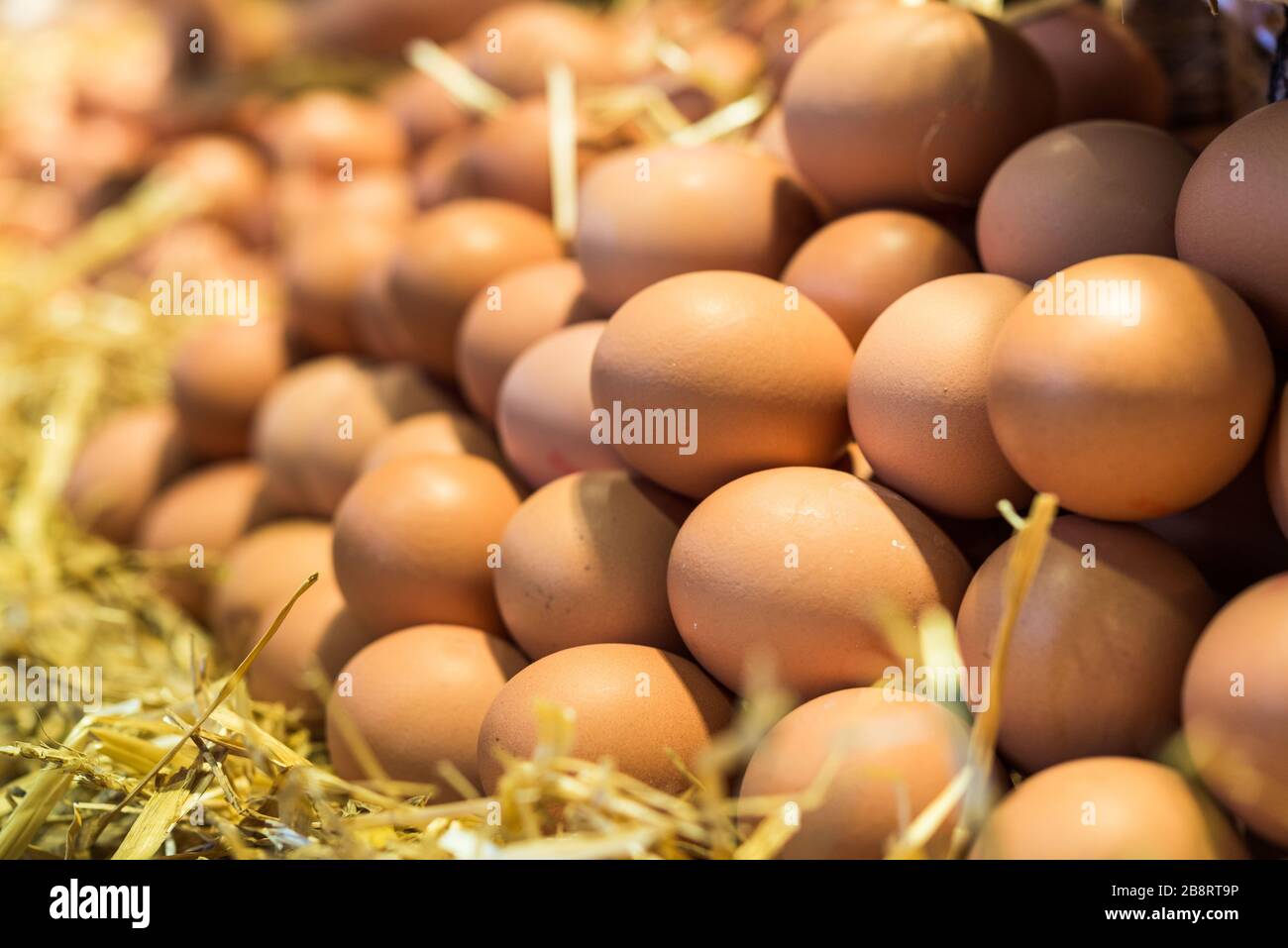 Fresh free range chicken eggs at a farmers market. Stock Photo