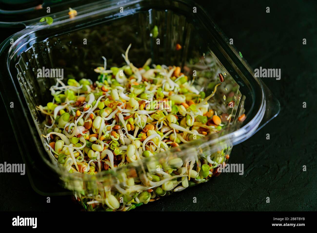sprouted beans in plastic box . raw food diet. selective focus Stock Photo
