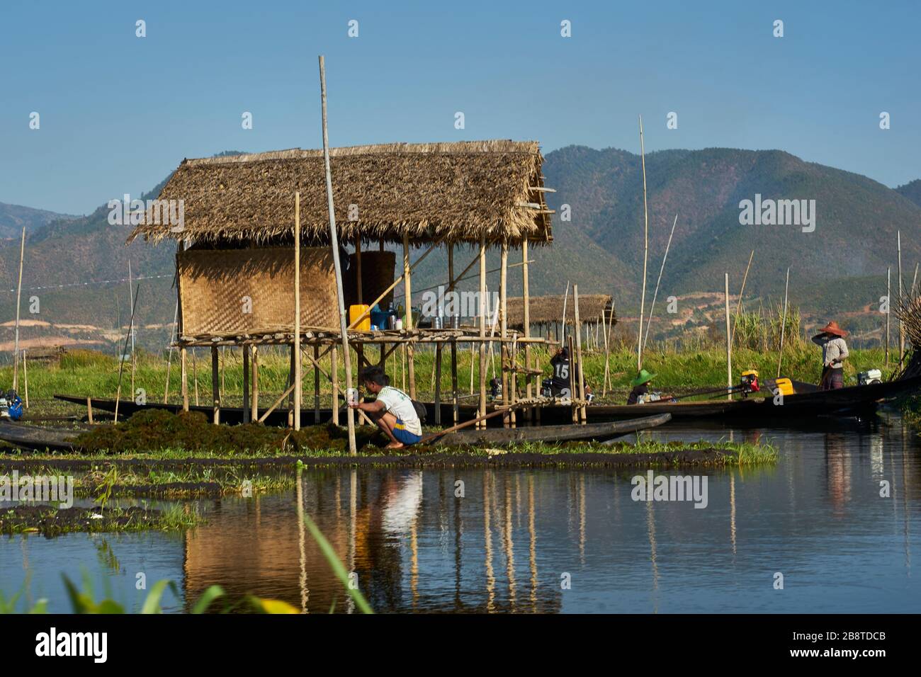Mann hockt in Boot und legt neues Beet an, Hütte auf Stelzen, schwimmende Gärten, Inle-See, Shan-Staat, Myanmar Stock Photo
