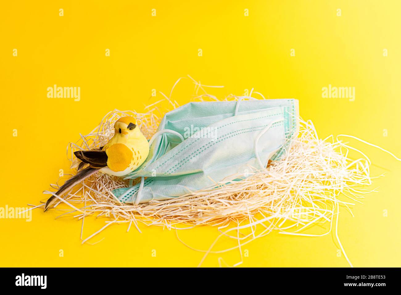 Download Yellow Fever Outbreak High Resolution Stock Photography And Images Alamy PSD Mockup Templates
