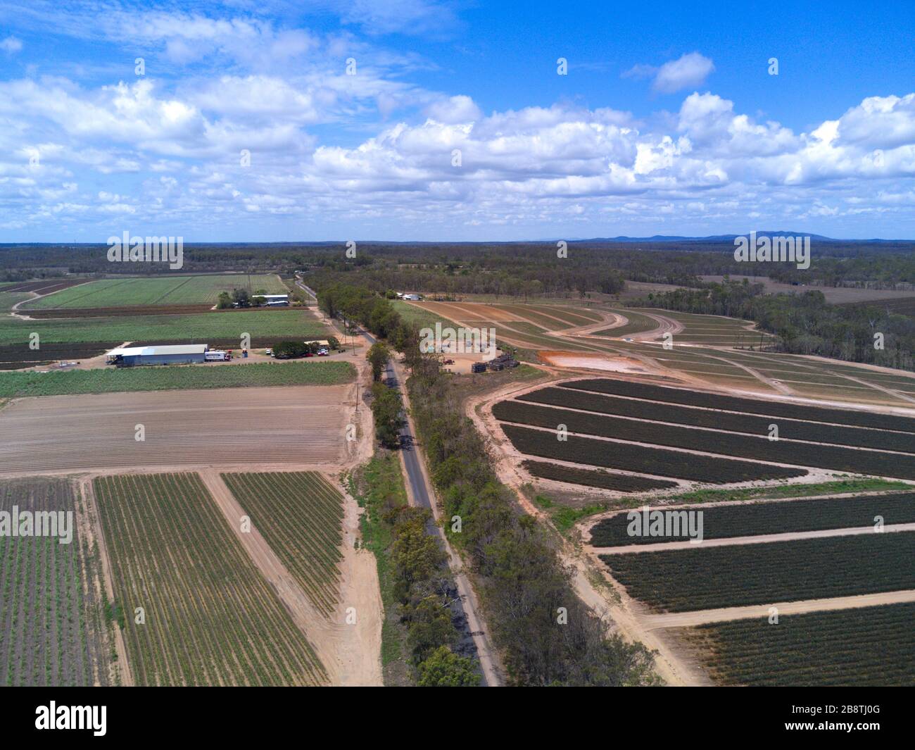 Fruit plantations hires stock photography and images Alamy