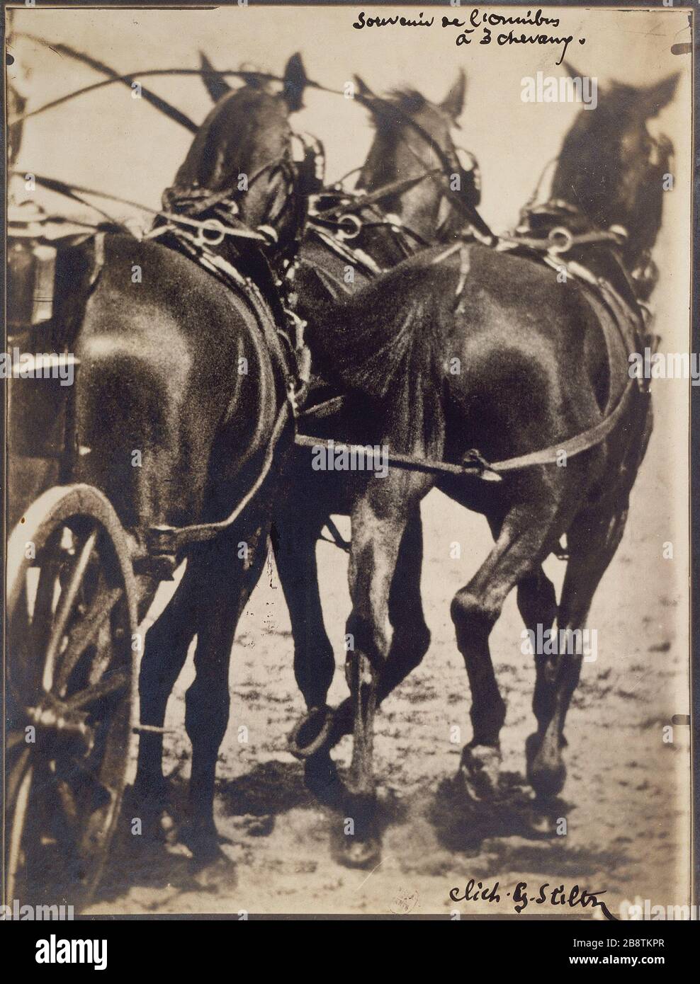 REMEMBERING THE OMNIBUS THREE HORSES Slitz.'Souvenir de l'omnibus à trois chevaux'. Paris, musée Carnavalet. Stock Photo