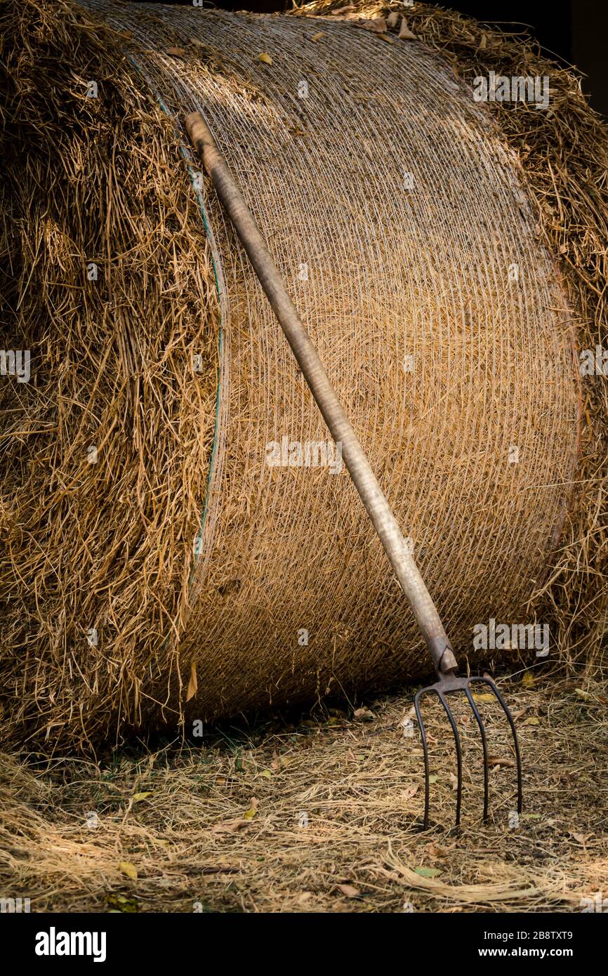 Portrait shot of Haystack and 3 pronged pitchfork a farming tool for gathering straw and grass,Bulgaria Stock Photo