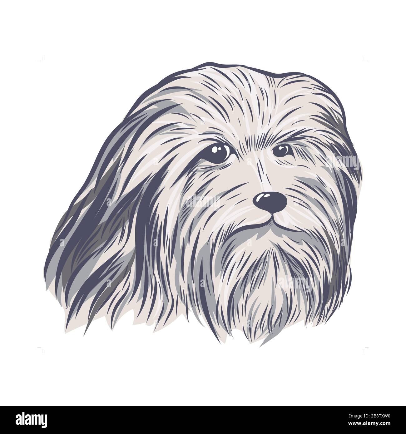 Bearded collie face isolated on white background. Stock Vector