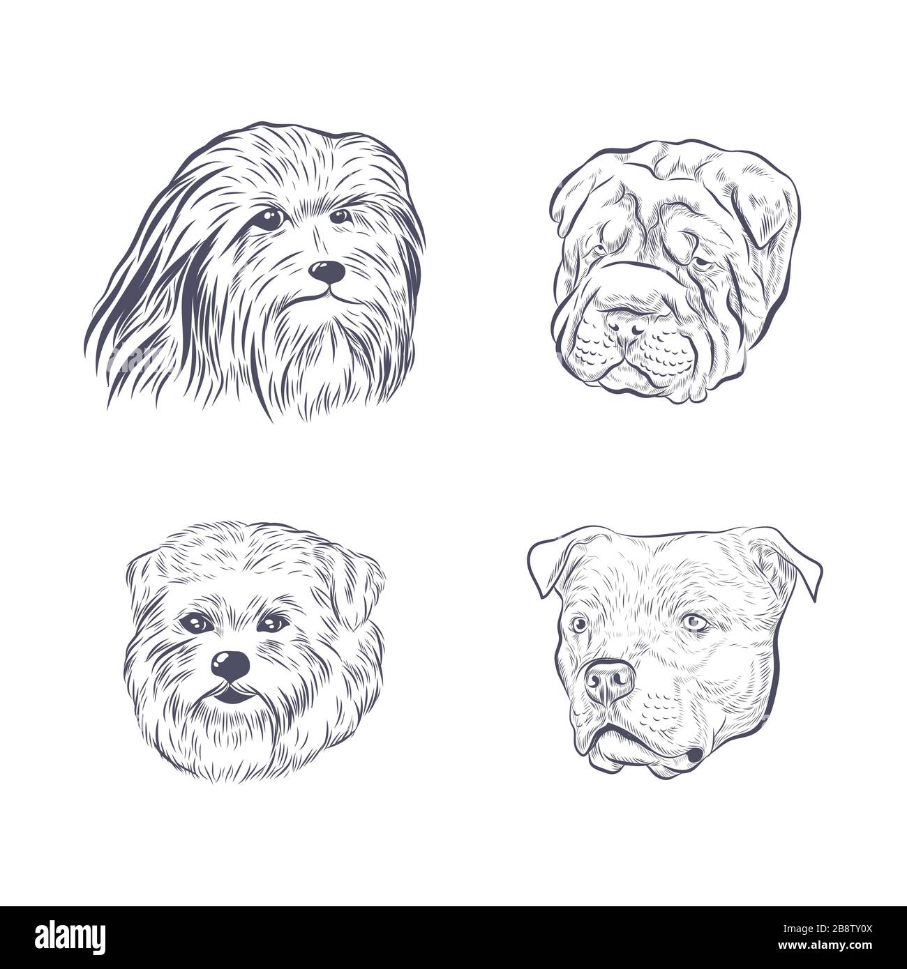 Purebred dog faces isolated on white background. Stock Vector