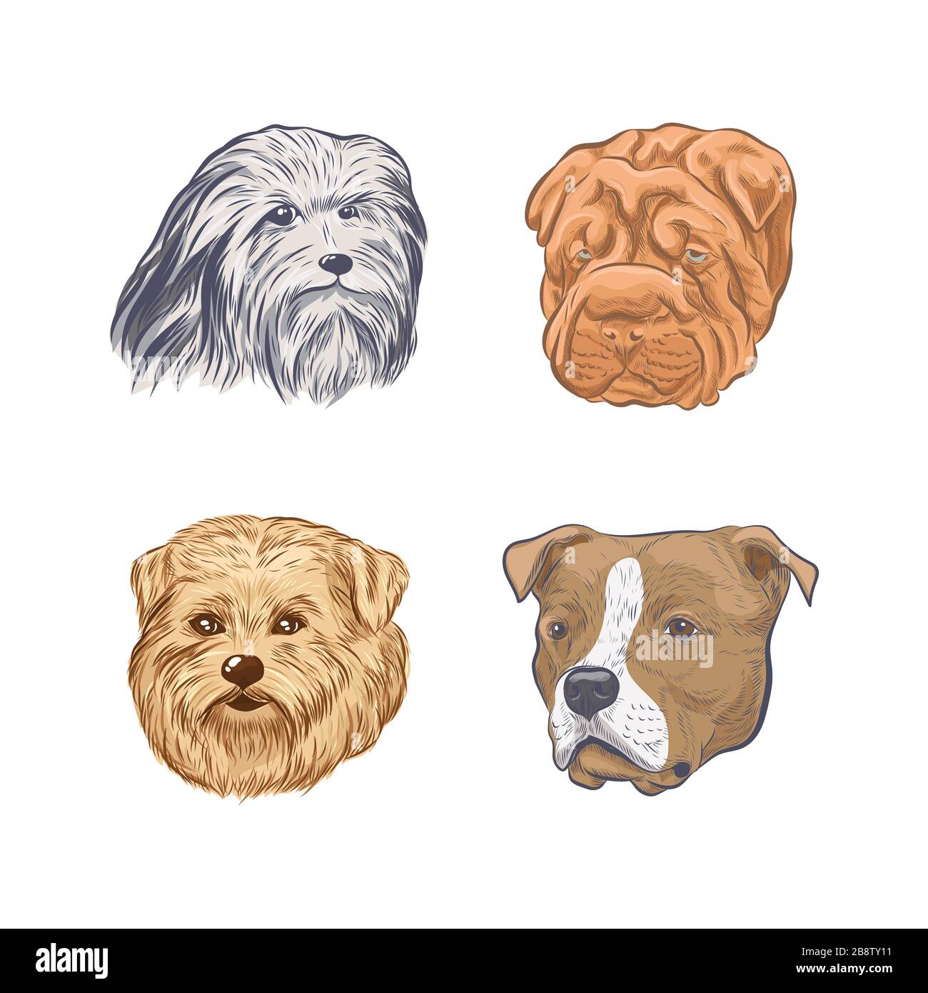 Purebred dog faces isolated on white background. Stock Vector