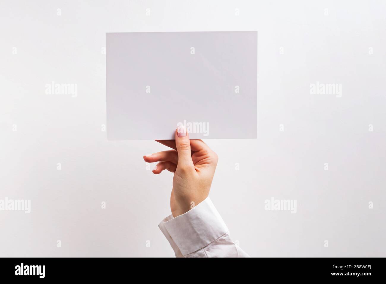 Woman's hand holding white blank paper card Stock Photo