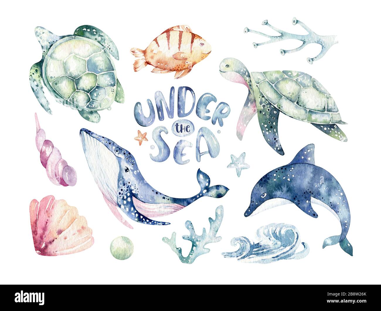 Set of sea animals. Blue watercolor ocean fish, turtle, whale and coral. Shell aquarium background. Nautical dolphin marine illustration, jellyfish, s Stock Photo - Alamy Set of sea animals. Blue watercolor ocean fish, turtle, whale and coral. Shell aquarium background. Nautical dolphin marine illustration, jellyfish, s Stock Photo - Alamy