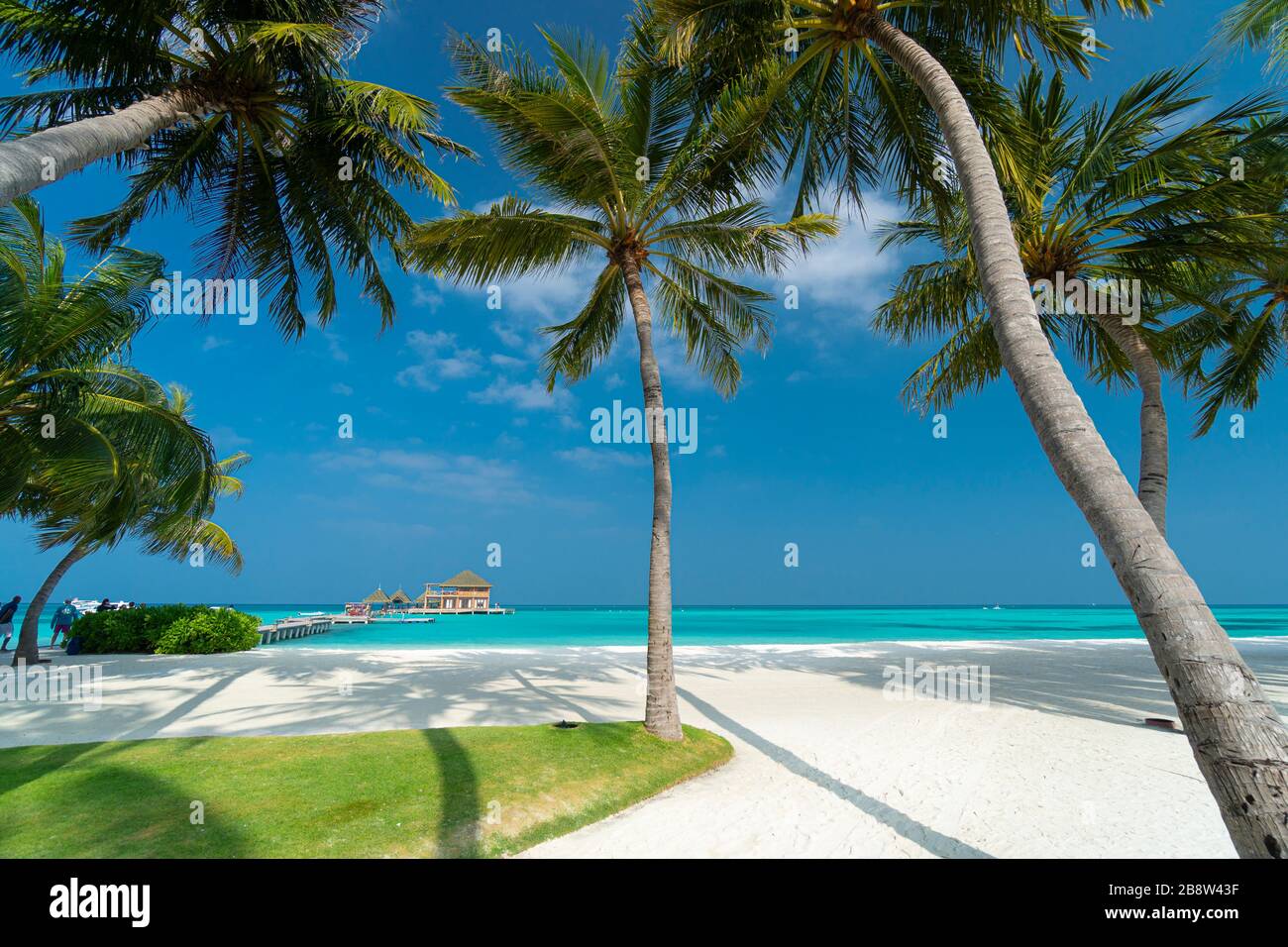Sandy beach of tropical island in the Maldives Stock Photo