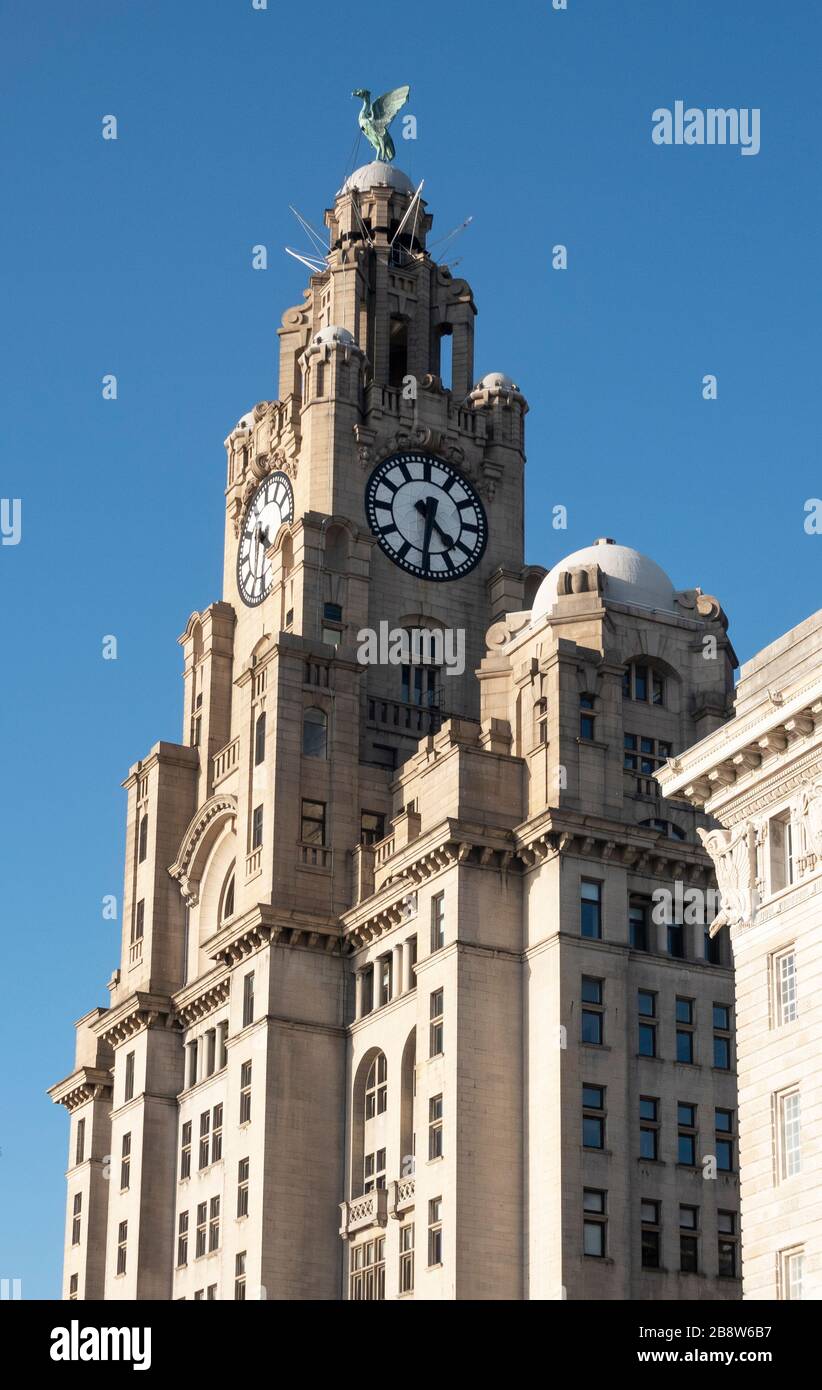 The clock tower of the Royal Liver Building at George's Pier Head in Liverpool, one of the Three Graces Stock Photo