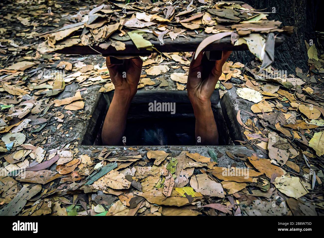 concept of self-isolation from viruses and diseases. hopper from obbedience. man hides in a hole. Vietnam's cu Chi tunnels for camouflage during us -V Stock Photo