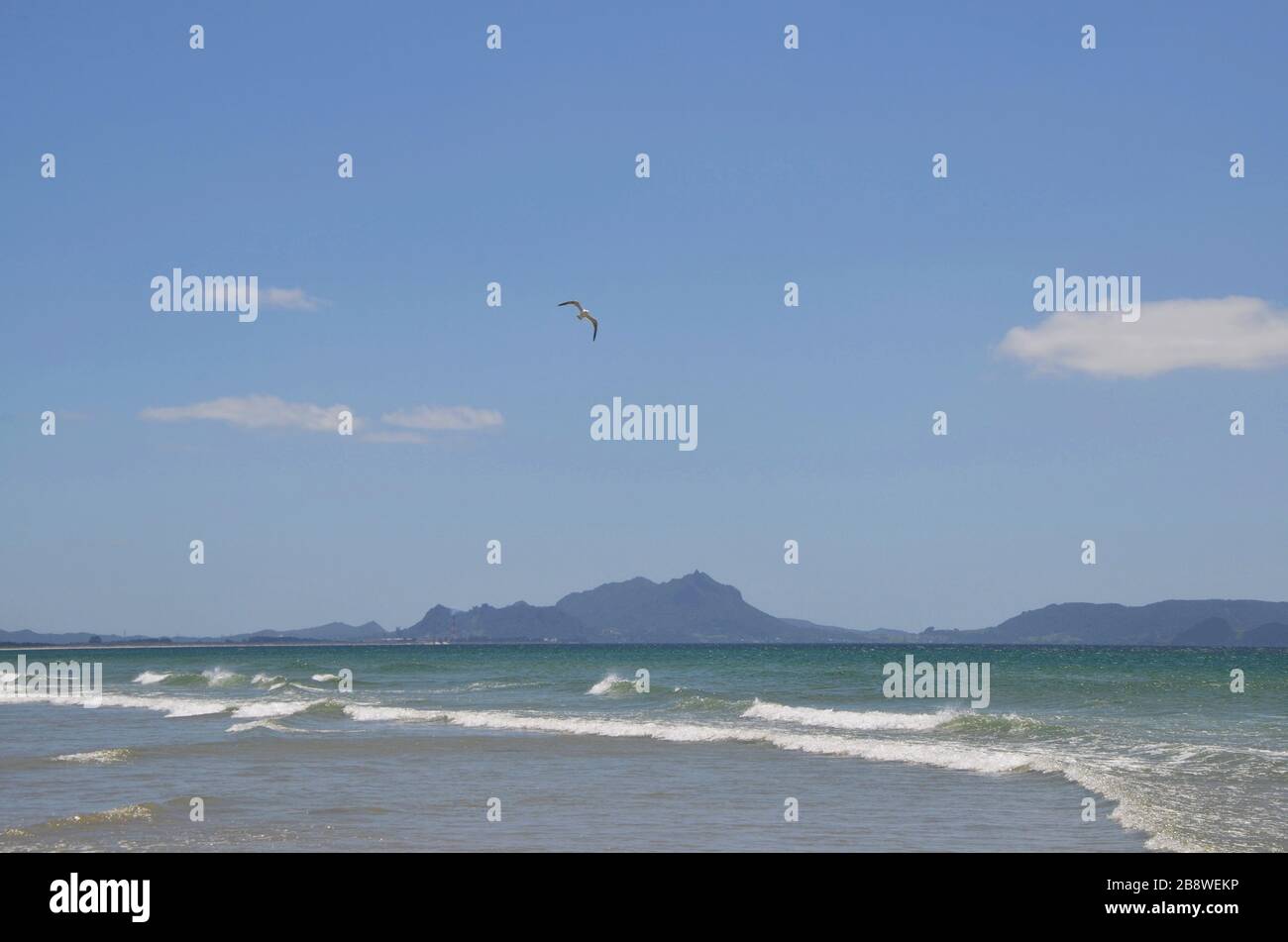 Scenic beach at the western coast of northern siland New Zealand Stock Photo