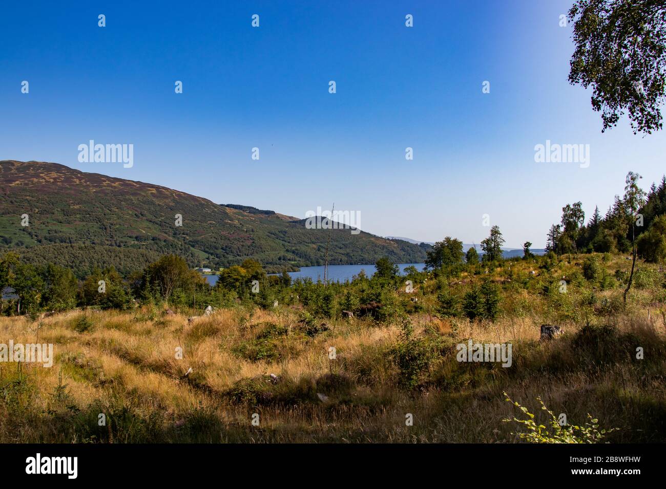 Beautiful view in Loch Lomond and the Trossachs Nationalpark in the highlands of Scotland Stock Photo