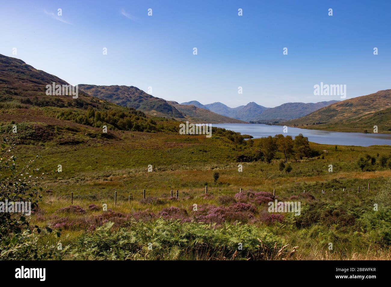 Beautiful view in Loch Lomond and the Trossachs Nationalpark in the highlands of Scotland Stock Photo