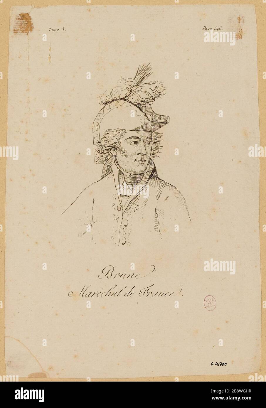 Brown / Marshal of France Stock Photo