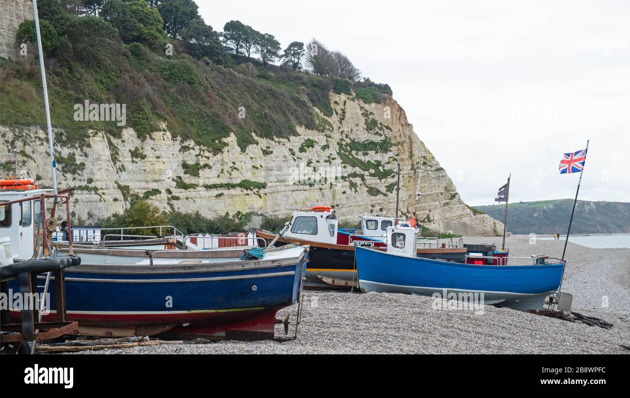 The local fishing fleet stranded on the pebble beach at Beer in east Devon, UK. Vessels are hauled along the beach to and from the sea by tractor Stock Photo