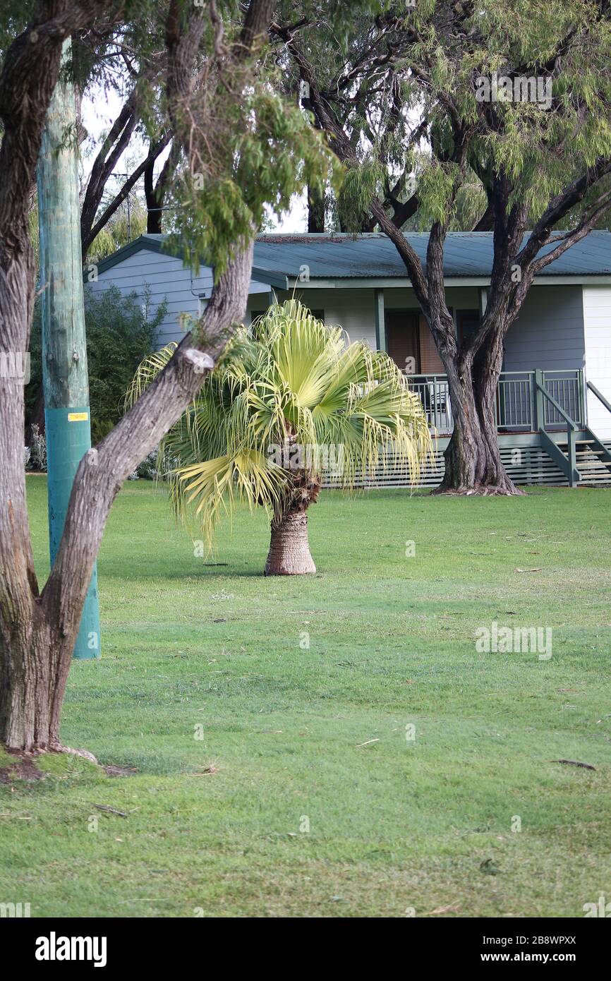 Australian garden, Busselton,Western Australia Stock Photo Alamy