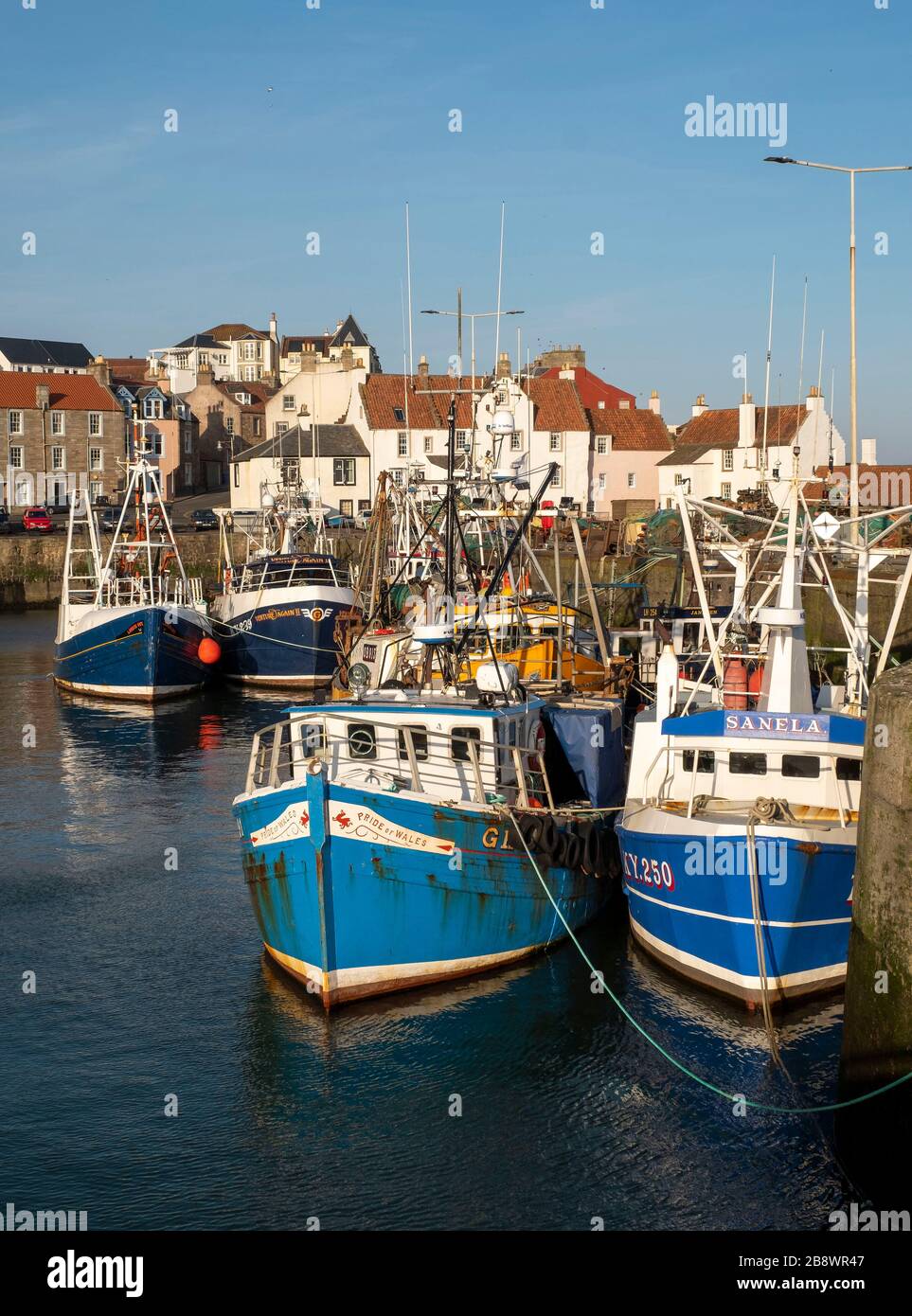 Fishing boats tied up in Pittenweem harbour, east Neuk, Fife Scotland ...