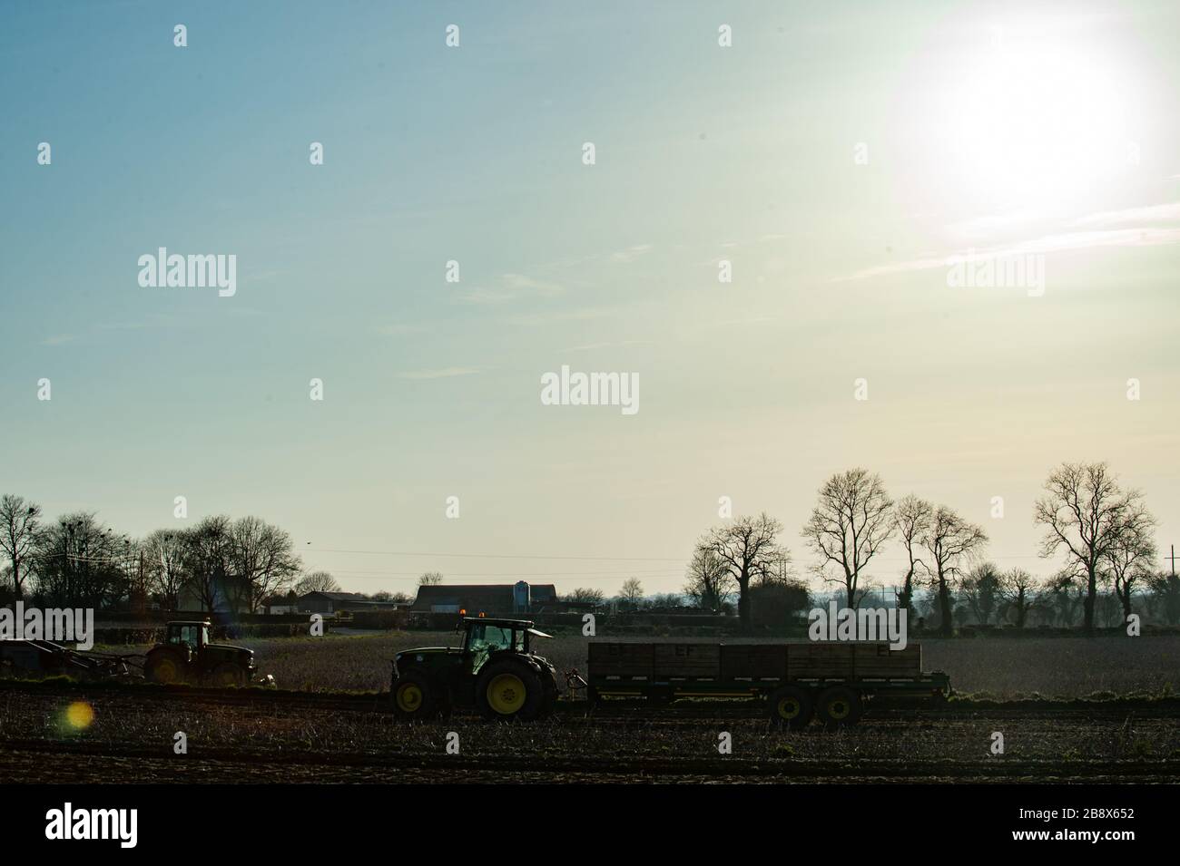 Kilberry, County Meath, Ireland. 22nd March, 2020.Paul Finnegan and members of his extended family harvest rooster potatoes in Kilberry, County Meath.A 5th generation farm Finnegan's have seen a 400% increase in demand for potatoes since the Covid19 virus outbreak as consumers stock up on potatoes, a staple ingredient in the Irish diet. Finnegans suppy to some of the largest supermarket chains in the country. Credit: Barry Cronin/Alamy Live News Stock Photo