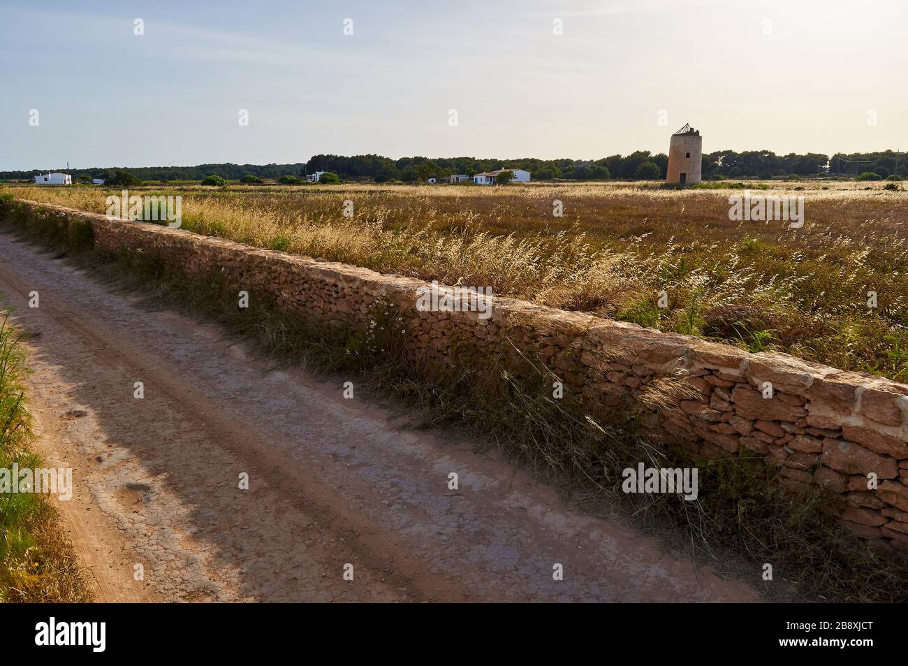 Rural path with stone wall with the old windmill of Molí d’en Botigues in the distance near El Pilar de La Mola (Formentera, Balearic Islands, Spain) Stock Photo