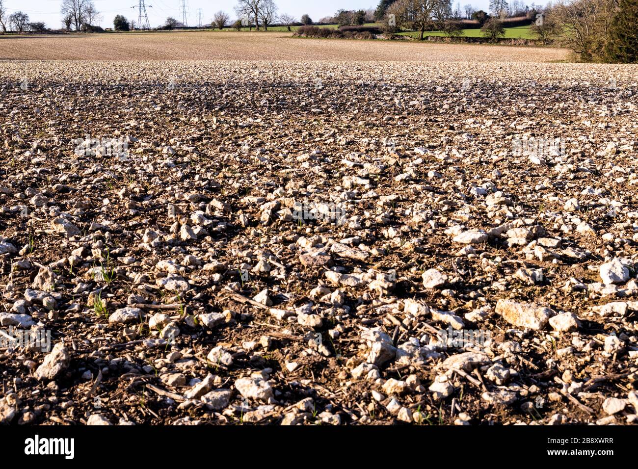 A very stony field of Cotswold brash at North Cerney, Gloucestershire UK Stock Photo