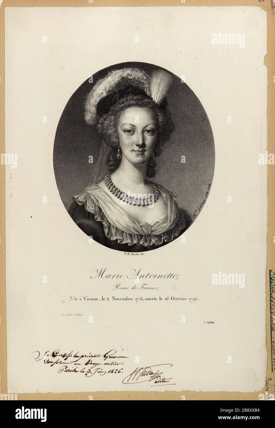 Marie Antoinette / Queen of France Stock Photo