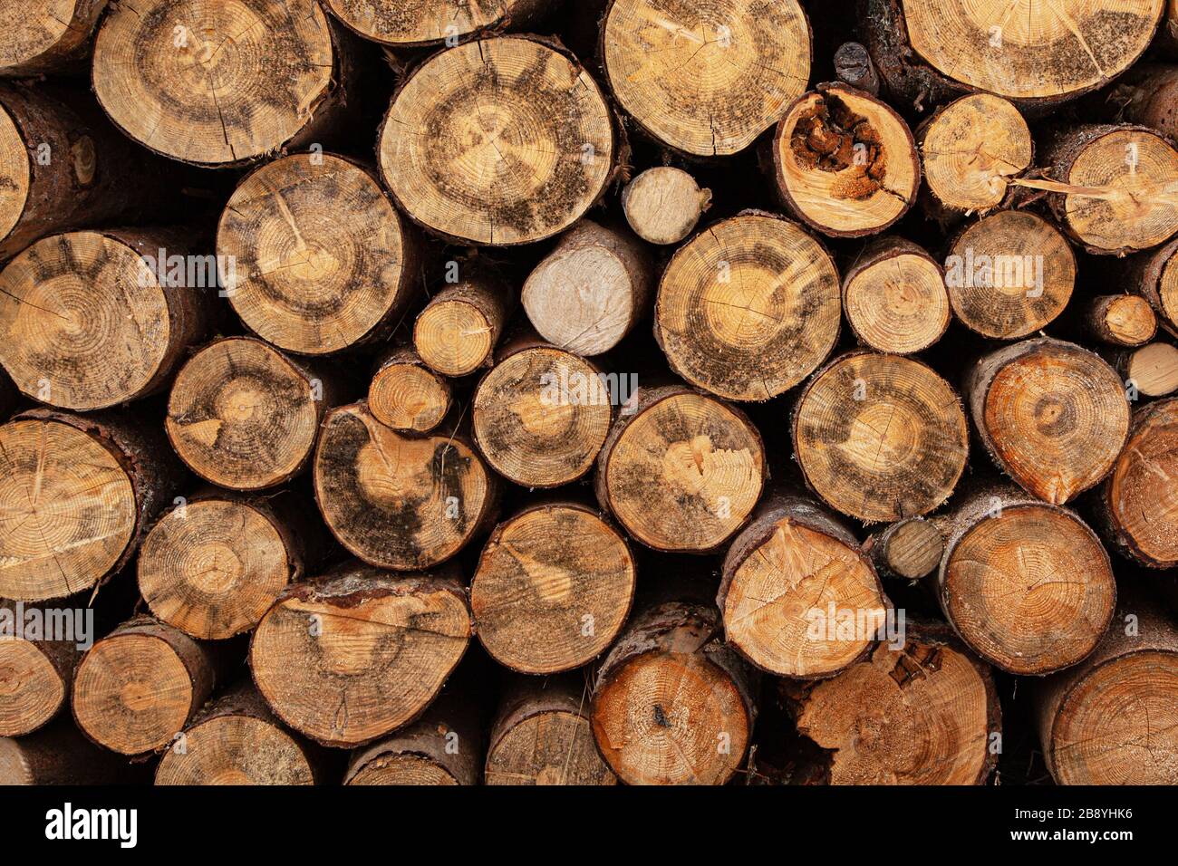 Fireplace wood logs texture Stock Photo