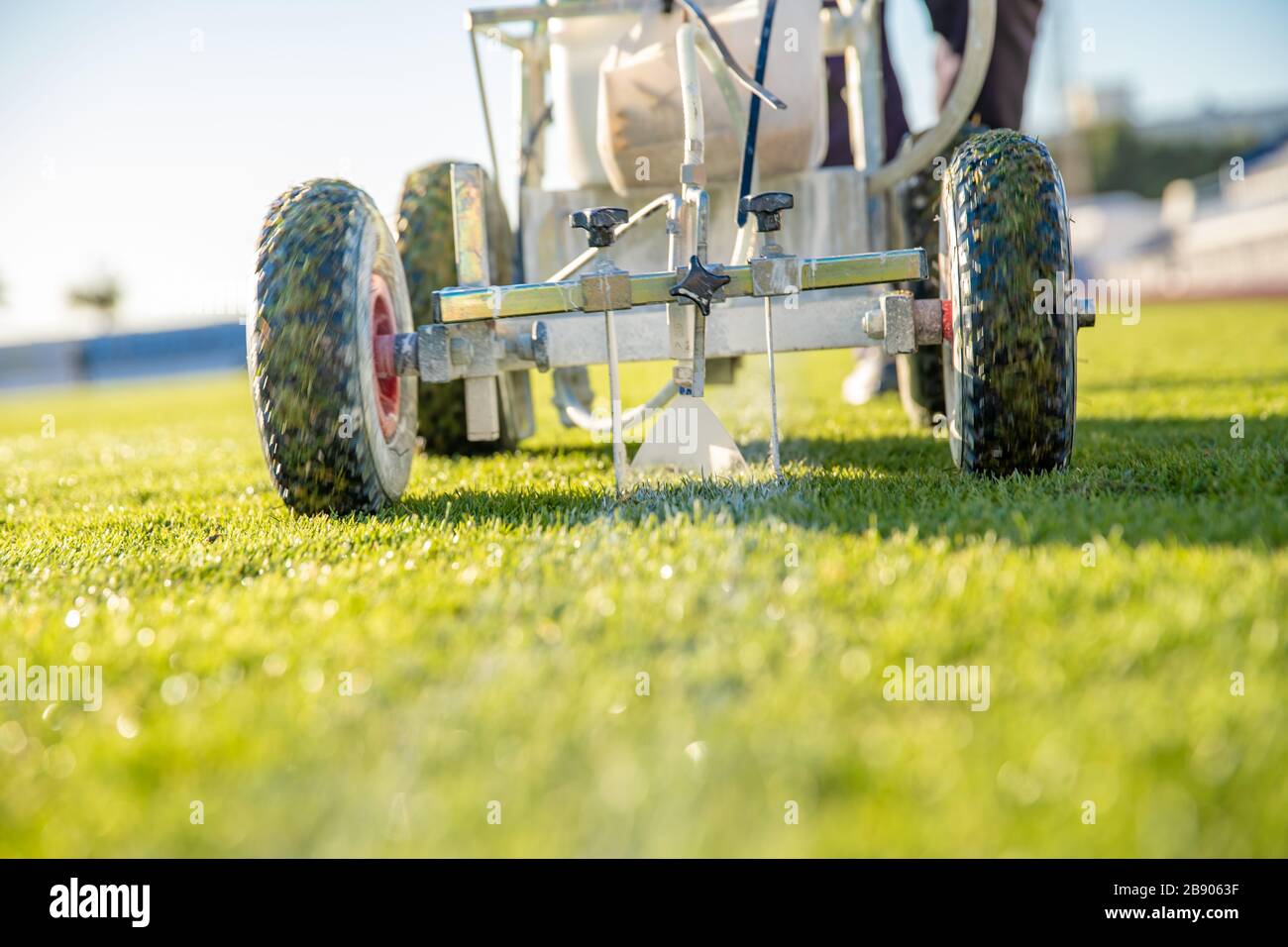 Lining a football pitch using white paint on grass Stock Photo Alamy