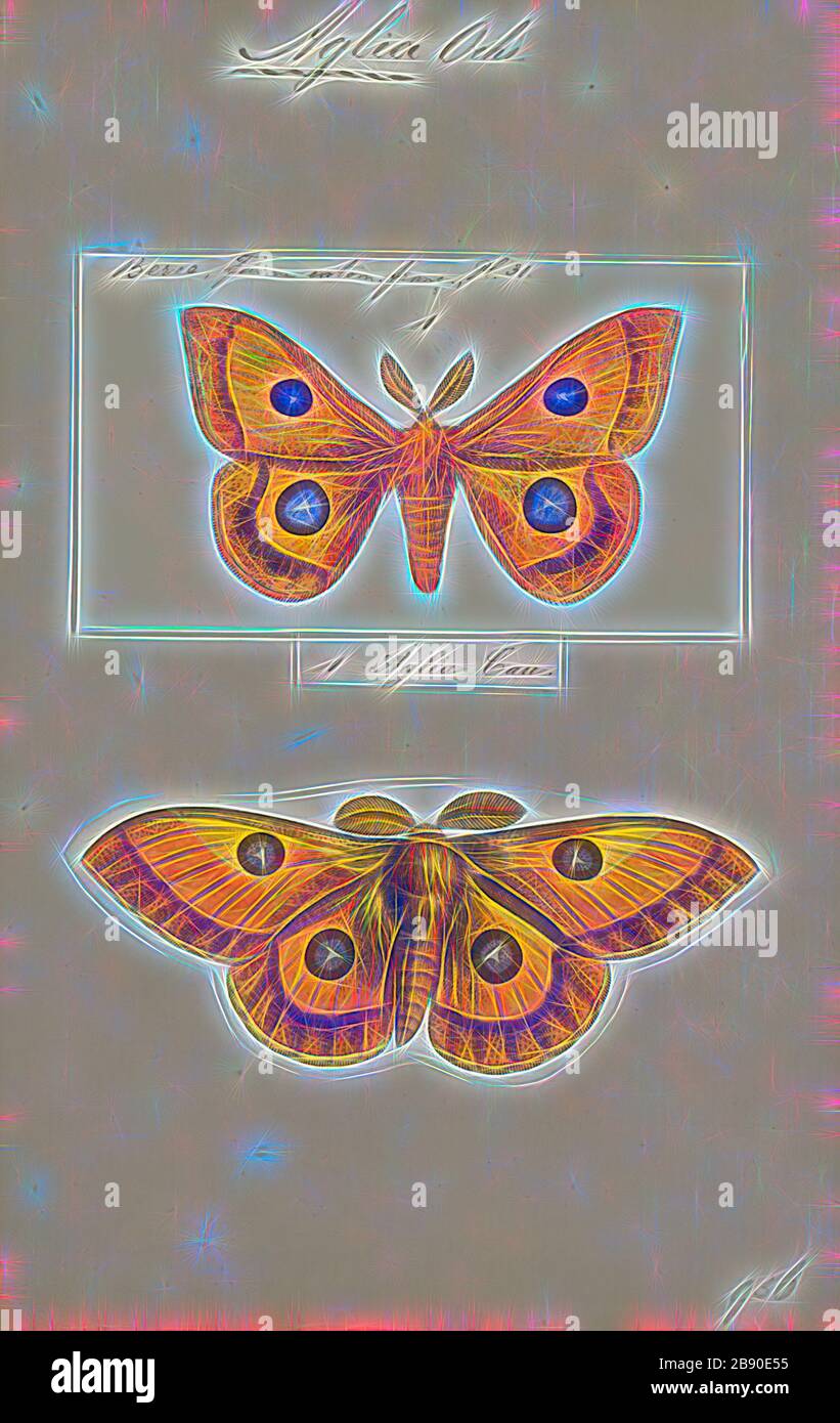 Aglia, Print, Aglia is a genus of moths in the family Saturniidae first described by Ochsenheimer in 1810. It is the only genus in the subfamily Agliinae., Reimagined by Gibon, design of warm cheerful glowing of brightness and light rays radiance. Classic art reinvented with a modern twist. Photography inspired by futurism, embracing dynamic energy of modern technology, movement, speed and revolutionize culture. Stock Photo